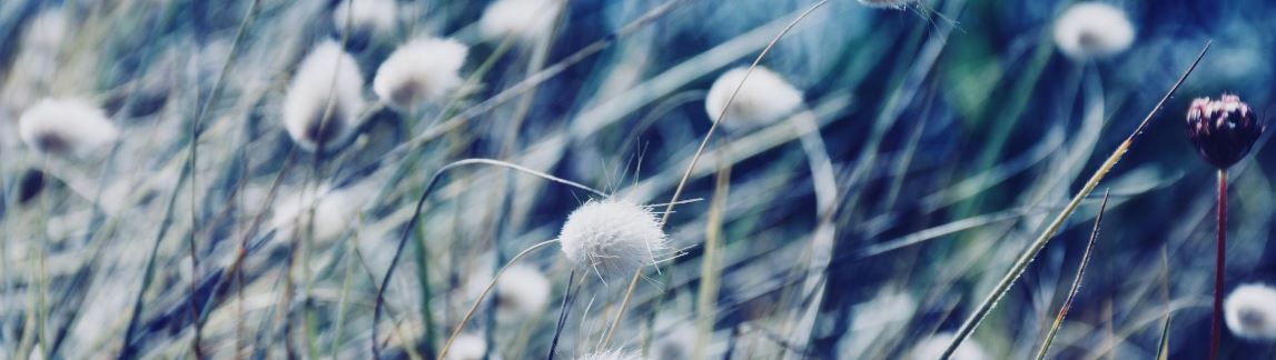 Start Your Day Mindfully: 8.45–9.00am Breathing Space Every Wednesday